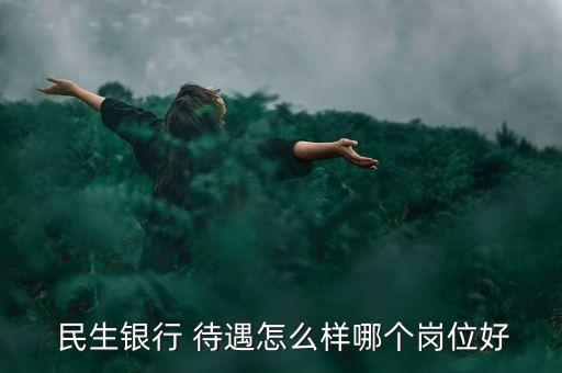  民生銀行 待遇怎么樣哪個崗位好