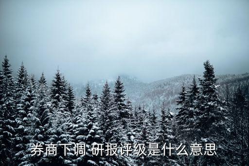 券商下調(diào) 研報(bào)評(píng)級(jí)是什么意思