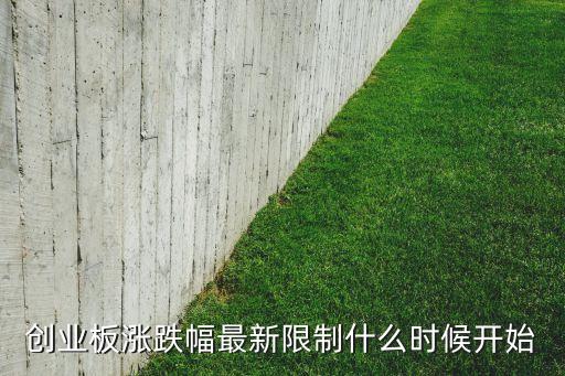 股票停牌制度改革,我國(guó)股票發(fā)行制度改革過(guò)程