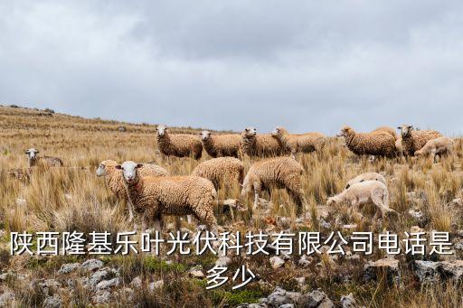 鐘寶申隆基集團,隆基綠能董事長鐘寶申