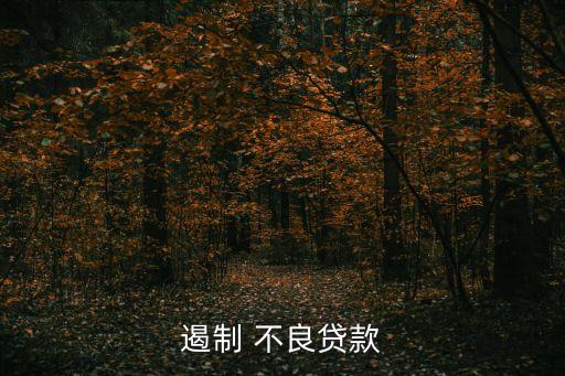 遏制 不良貸款
