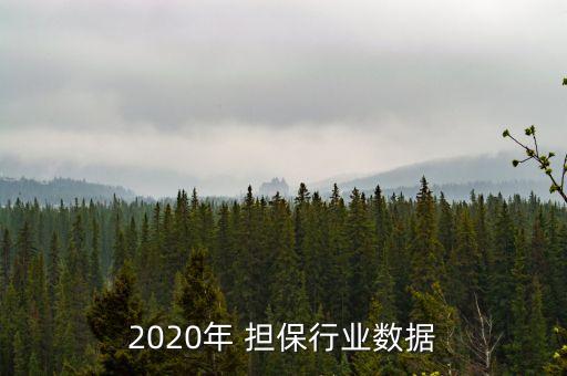 2020年 擔保行業(yè)數(shù)據(jù)