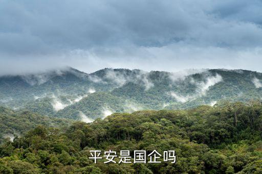  平安是國(guó)企嗎