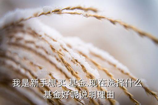 我是新手想買 基金.現(xiàn)在選擇什么 基金好呢說明理由