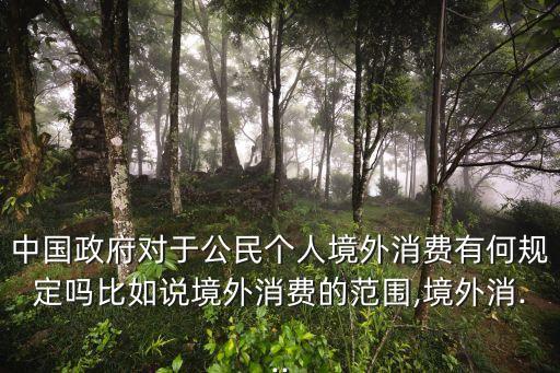 中國(guó)外匯局限制,中國(guó) 外匯局