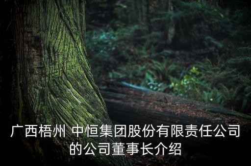 中恒老總被抓股票大跌