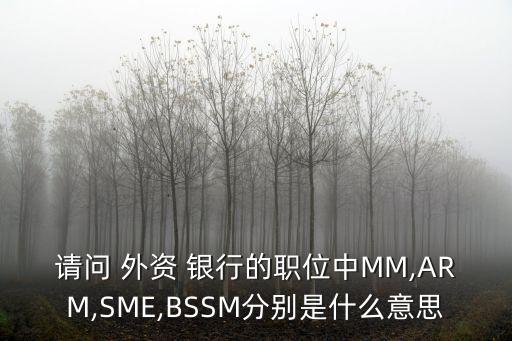 請問 外資 銀行的職位中MM,ARM,SME,BSSM分別是什么意思