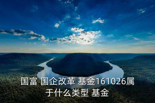 國(guó)企的基金有哪些,上海國(guó)企基金公司有哪些