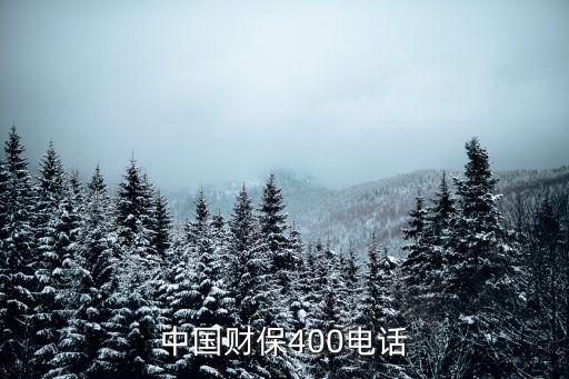 中國財保400電話