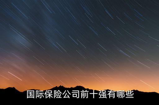  國際保險公司前十強(qiáng)有哪些