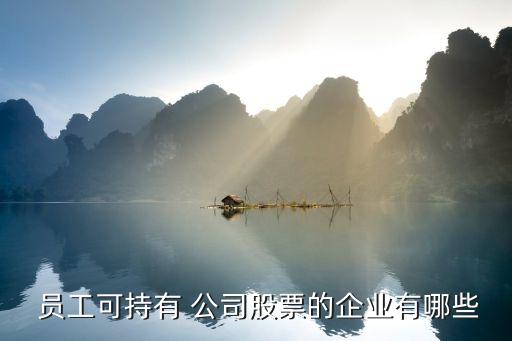 員工持股平臺公司