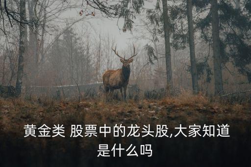  黃金類 股票中的龍頭股,大家知道是什么嗎