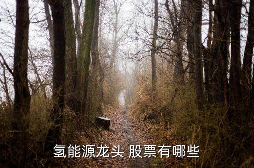 氫能源龍頭 股票有哪些