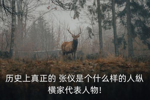 歷史上真正的 張儀是個什么樣的人縱橫家代表人物!