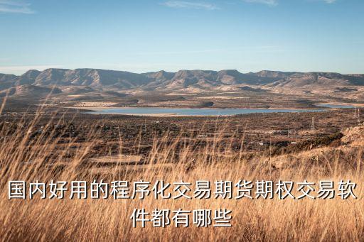 國內(nèi)好用的程序化交易期貨期權(quán)交易軟件都有哪些