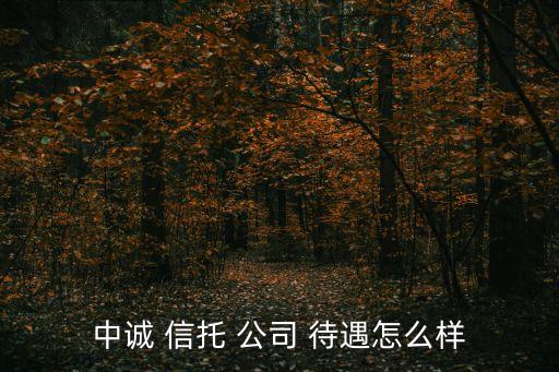 中誠 信托 公司 待遇怎么樣