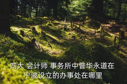 寧波東海會計師事務(wù)所有限公司,中會華(寧波)會計師事務(wù)所有限公司