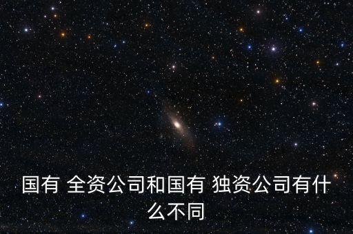 國有 全資公司和國有 獨(dú)資公司有什么不同