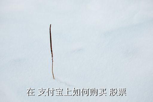 在 支付寶上如何購(gòu)買(mǎi) 股票