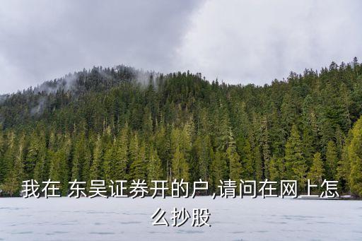 我在 東吳證券開的戶,請問在網(wǎng)上怎么抄股