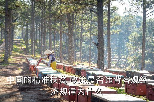 中國的精準(zhǔn)扶貧 政策是否違背客觀經(jīng)濟規(guī)律為什么