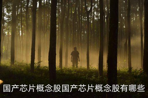 國(guó)產(chǎn)芯片概念股國(guó)產(chǎn)芯片概念股有哪些