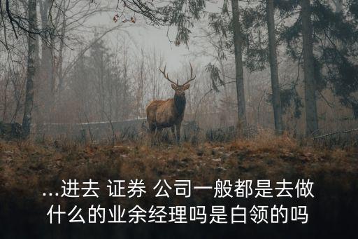 ...進(jìn)去 證券 公司一般都是去做什么的業(yè)余經(jīng)理嗎是白領(lǐng)的嗎