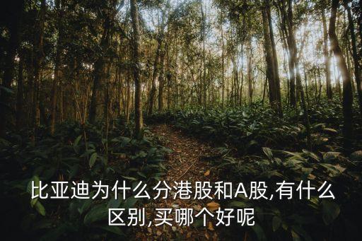  比亞迪為什么分港股和A股,有什么區(qū)別,買哪個好呢
