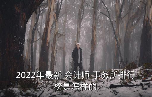 2022年最新 會(huì)計(jì)師 事務(wù)所排行榜是怎樣的