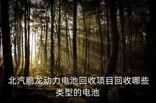  北汽鵬龍動(dòng)力電池回收項(xiàng)目回收哪些類型的電池