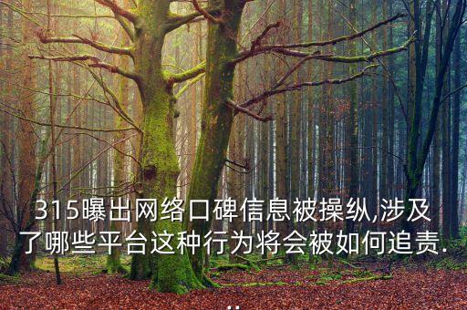 上海愛云信息技術(shù)