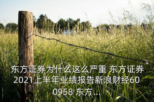  東方證券為什么這么嚴重 東方證券2021上半年業(yè)績報告新浪財經(jīng)600958 東方...
