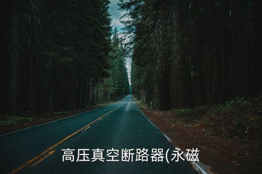 高壓真空斷路器(永磁