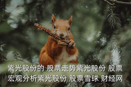 紫光股份的 股票走勢(shì)紫光股份 股票宏觀分析紫光股份 股票雪球 財(cái)經(jīng)網(wǎng)