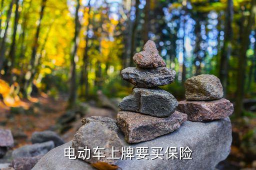 電動(dòng)車上牌要買保險(xiǎn)