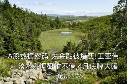 A股數(shù)據(jù)密碼:大金融被爆買!王亞偉、 淡水泉調(diào)研忙不停,4月底牌大曝光...