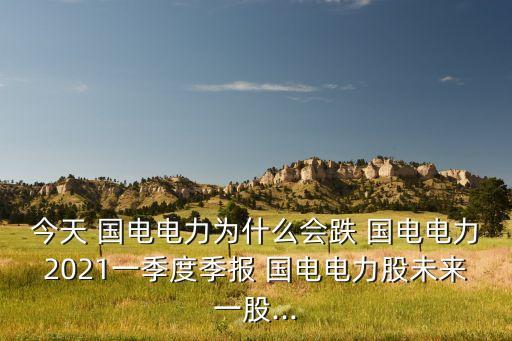 今天 國電電力為什么會跌 國電電力2021一季度季報 國電電力股未來一股...