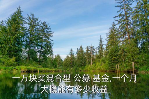 一萬(wàn)塊買(mǎi)混合型 公募 基金,一個(gè)月大概能有多少收益