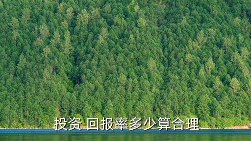 投資社會(huì)回報(bào)指數(shù),社會(huì)投資回報(bào)評(píng)估指南