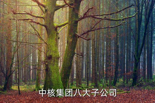 中核集團(tuán)八大子公司