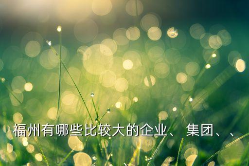 福州有哪些比較大的企業(yè)、 集團(tuán)、、、