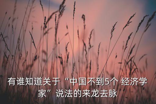 有誰知道關于“中國不到5個 經(jīng)濟學家”說法的來龍去脈