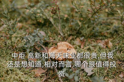  中炬 高新和海天味業(yè)都很貴,但我還是想知道,相對(duì)而言,哪個(gè)跟值得投資