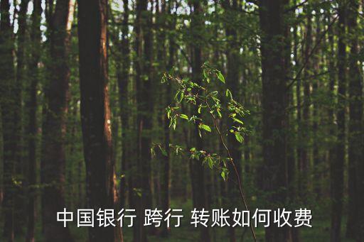  中國(guó)銀行 跨行 轉(zhuǎn)賬如何收費(fèi)