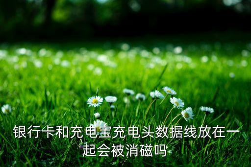  銀行卡和充電寶充電頭數(shù)據(jù)線放在一起會(huì)被消磁嗎