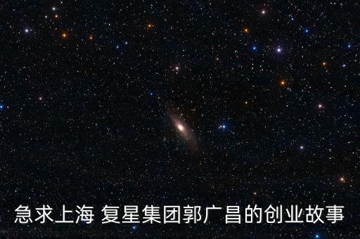 急求上海 復(fù)星集團郭廣昌的創(chuàng)業(yè)故事