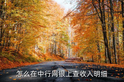 怎么在中行網(wǎng)銀上查收入明細(xì)