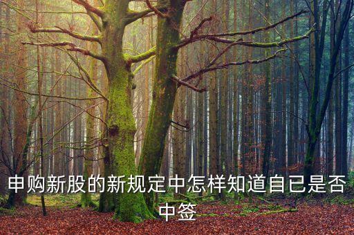 申購新股的新規(guī)定中怎樣知道自已是否中簽