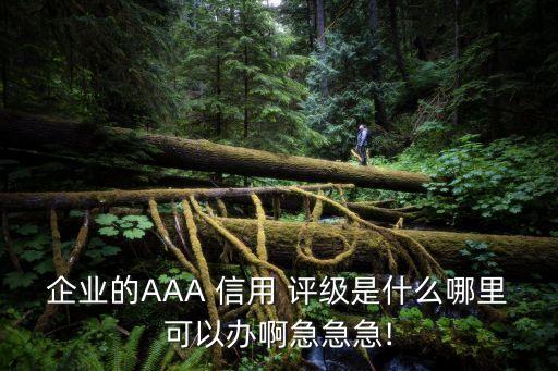 中國互聯(lián)網(wǎng)協(xié)會aa級信用評級證書