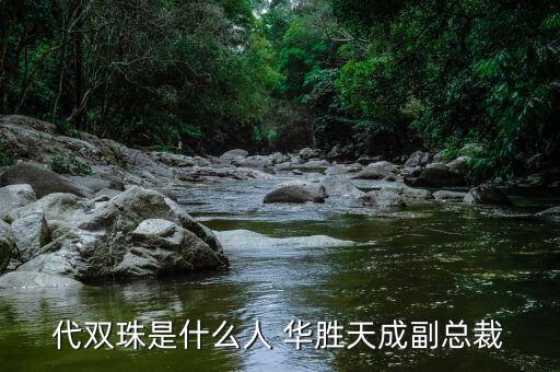 代雙珠是什么人 華勝天成副總裁